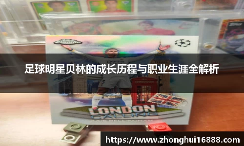 智博19