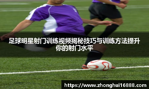 智博19