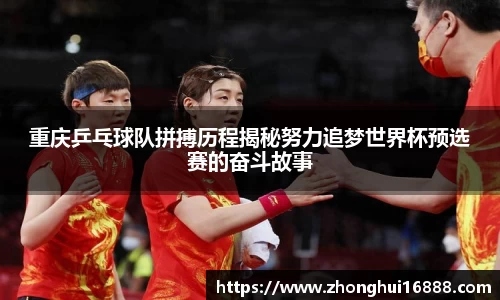 智博19有限公司